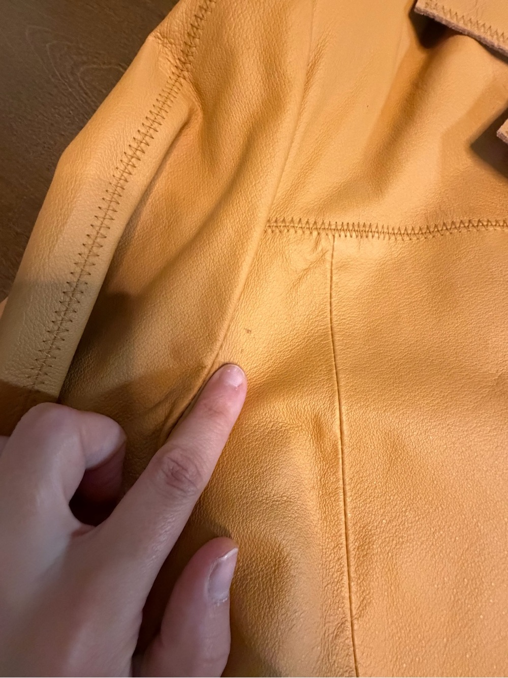Terry Lewis Classic Luxuries Button-Front Leather Jacket in Tan - Picture 4 of 5